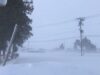 ブリザード ！Blizzard ！