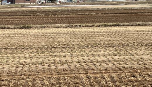 令和8年第一回の大仙市議会が終了