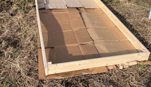 のーでぃぐ農法　に挑戦